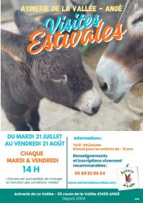 Visites estivales